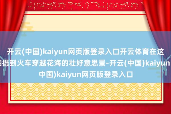 开云(中国)kaiyun网页版登录入口开云体育在这里不错玩赏或拍摄到火车穿越花海的壮好意思景-开云(中国)kaiyun网页版登录入口